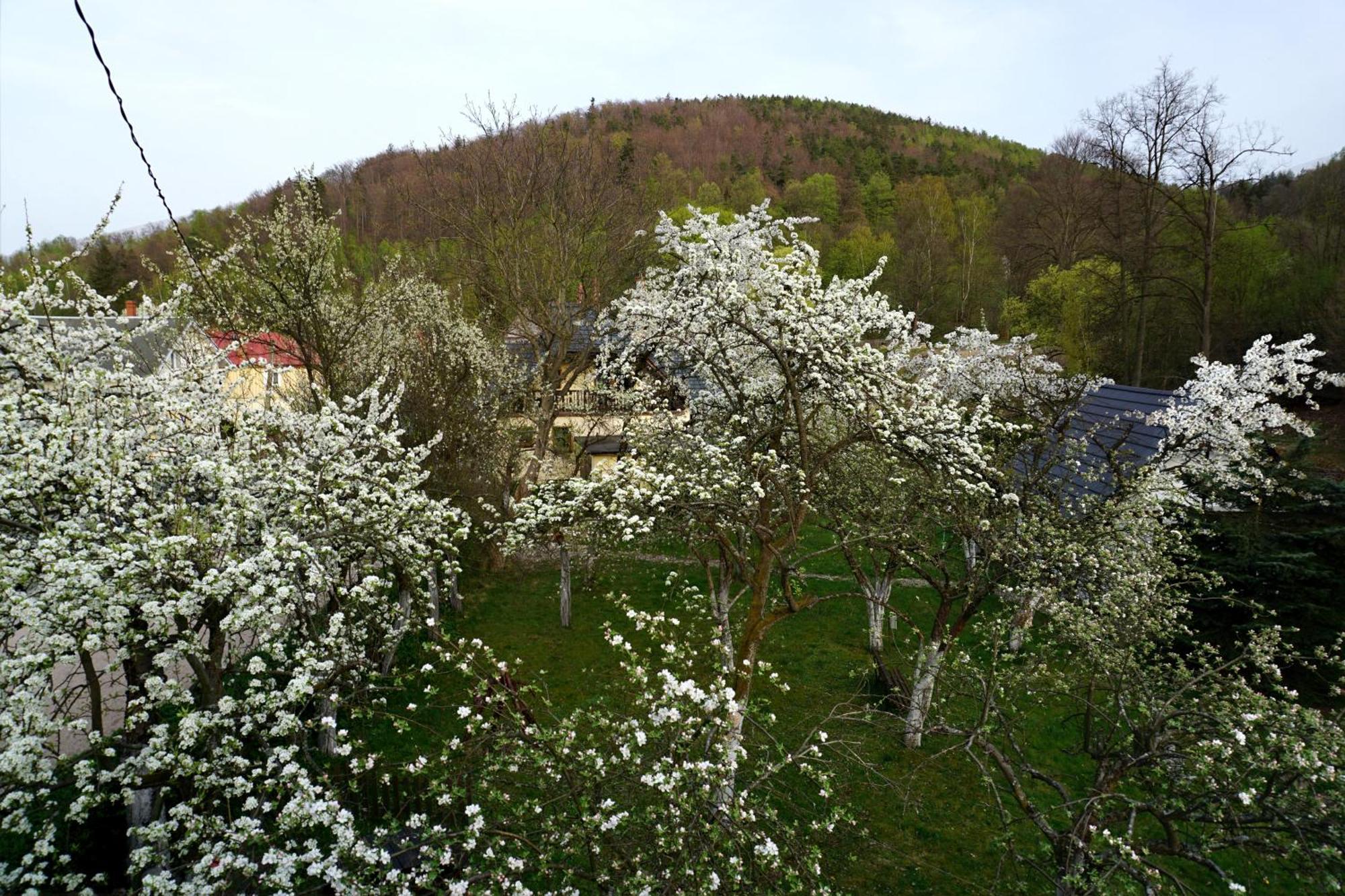 Gorski Sad - U Bazyla Piechowice  Exterior foto