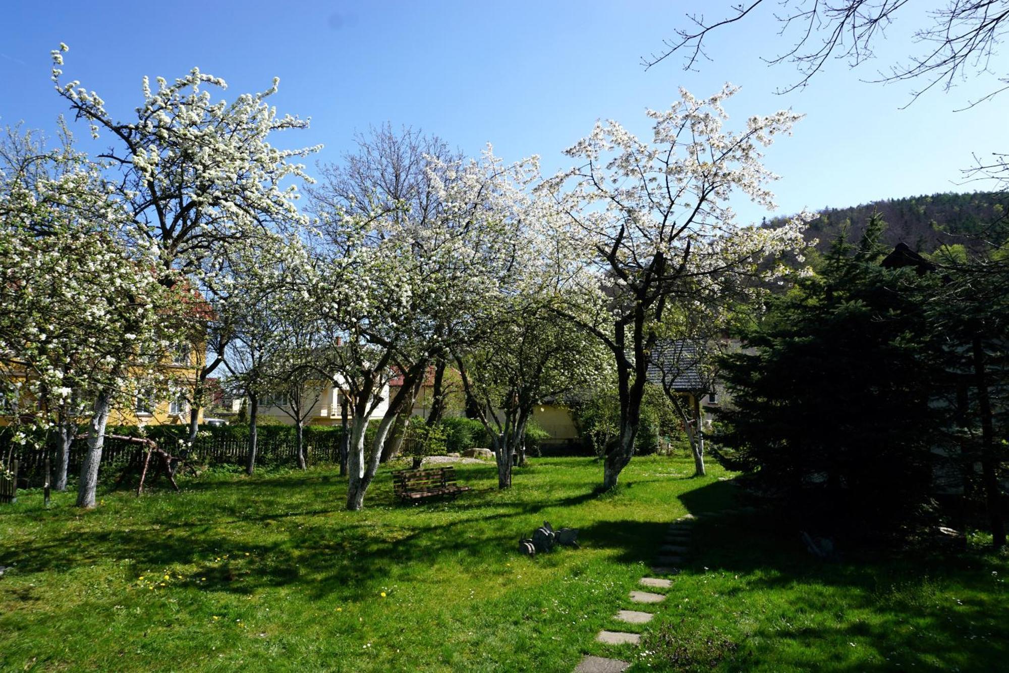 Gorski Sad - U Bazyla Piechowice  Exterior foto